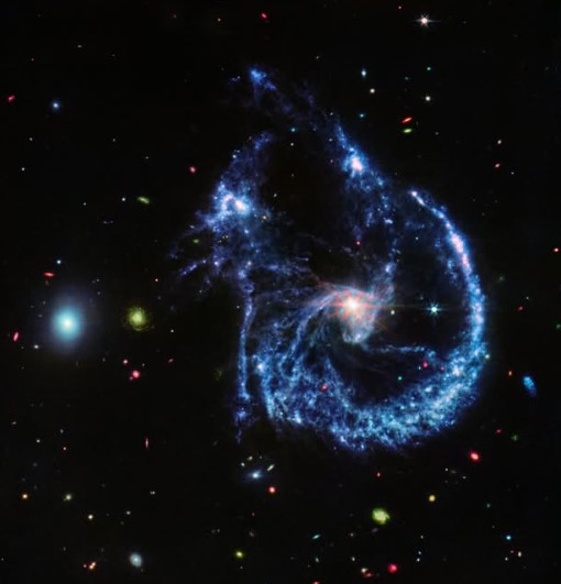 Screenshot 2025-02-02 133642